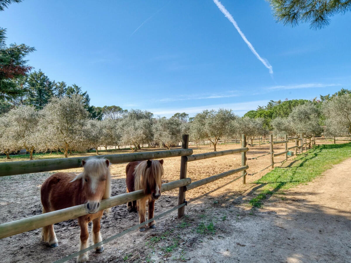 Equestrian property Brignoles