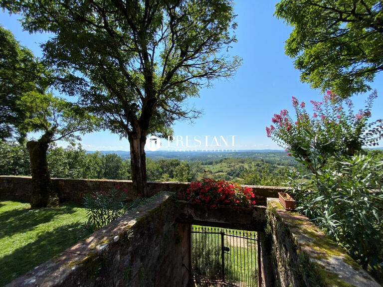 Castle Brive-la-Gaillarde - 7 bedrooms - 726m²