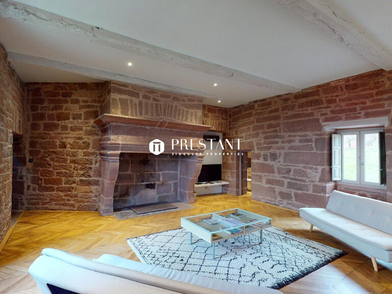 Castle Brive-la-Gaillarde - 7 bedrooms - 726m²