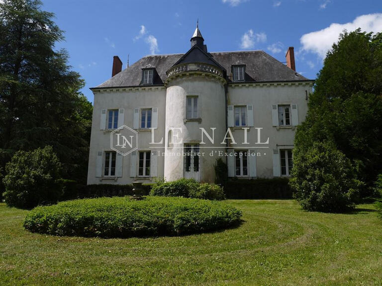 Castle Buzançais - 6 bedrooms - 370m²