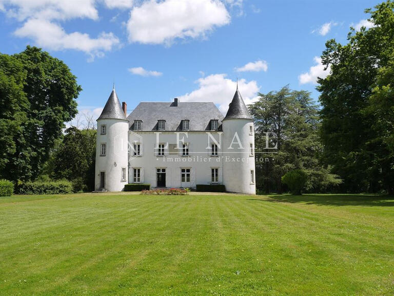 Vente Château Buzançais - 6 chambres