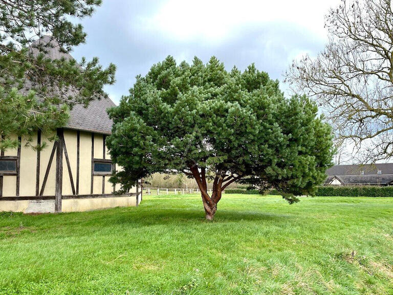 Maison Cabourg - 5 chambres