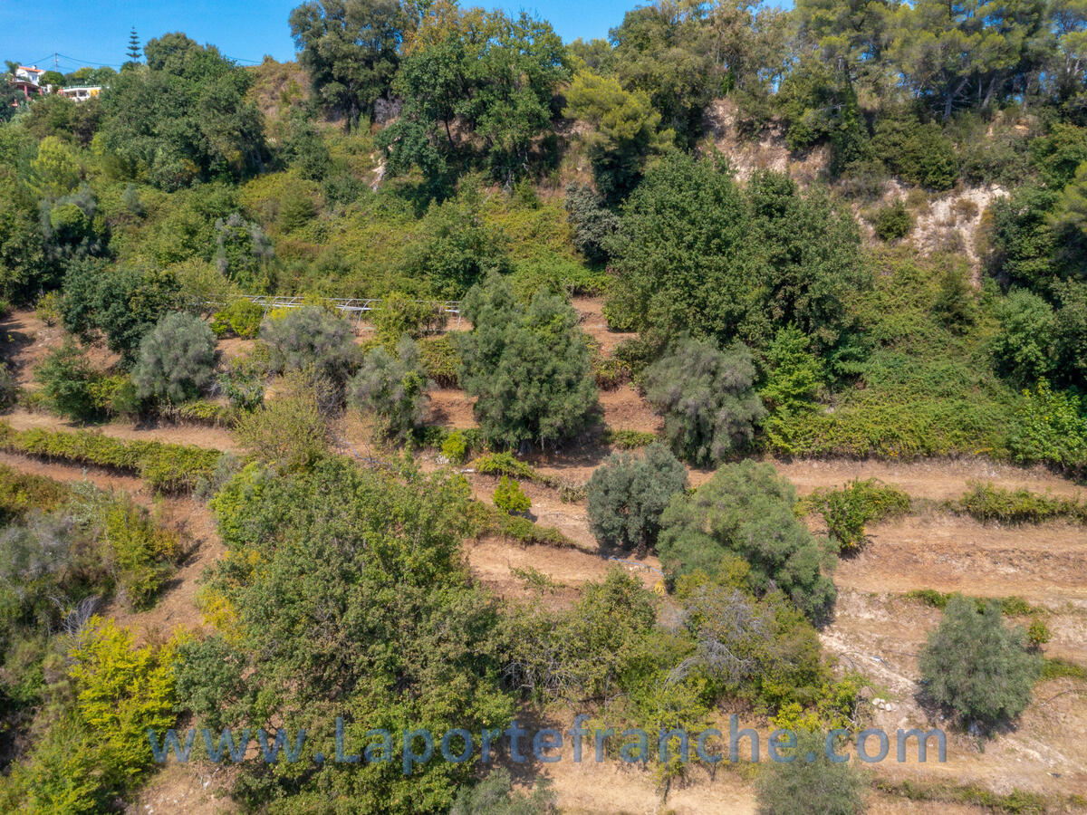 House Cagnes-sur-Mer