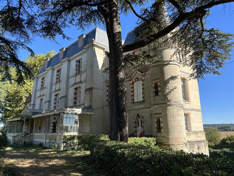 Château Calmont - 8 chambres - 1000m²