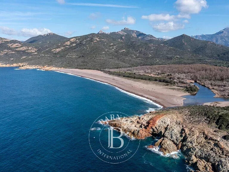 Land Calvi - 3380m²