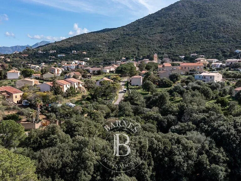 Terrain Calvi - 3380m²