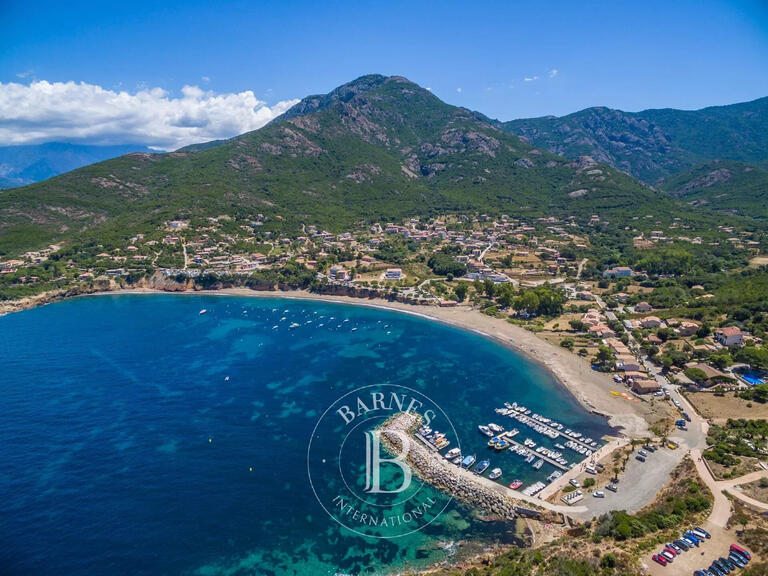 Land Calvi - 3380m²