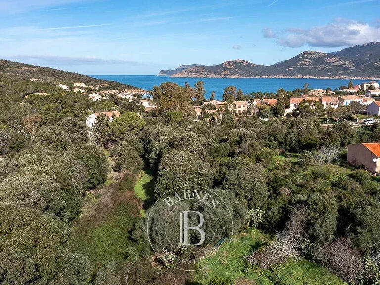 Terrain Calvi - 3380m²