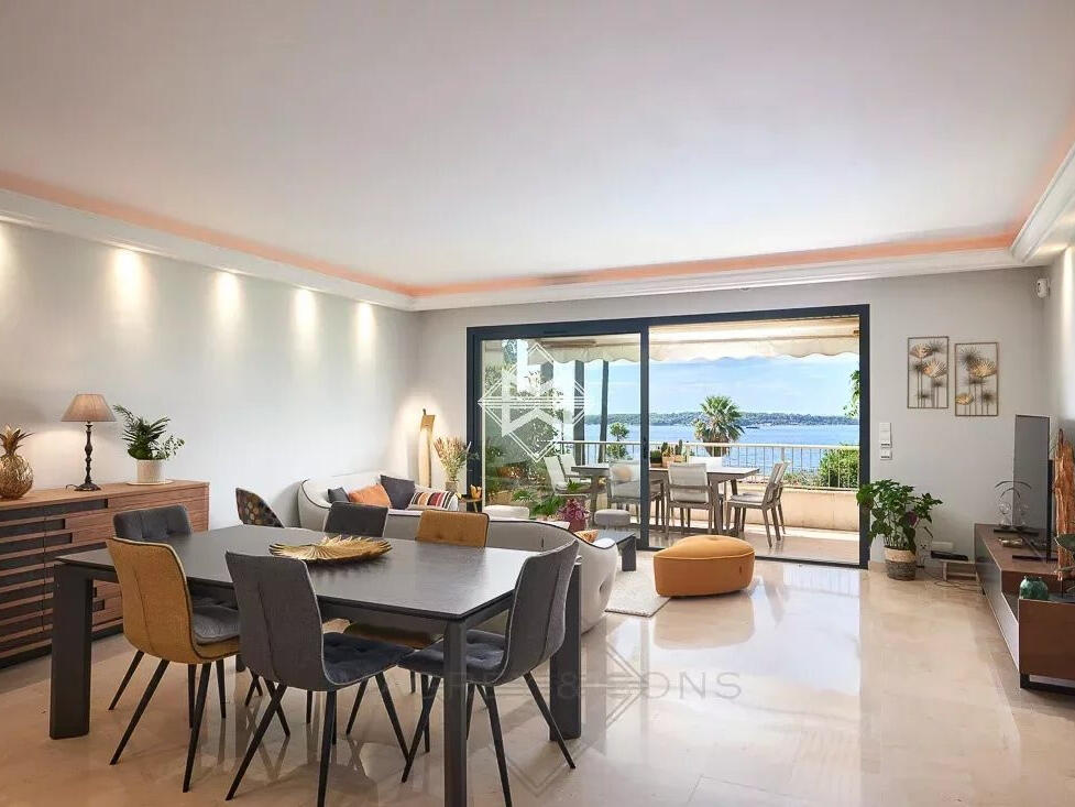 Apartment Cannes