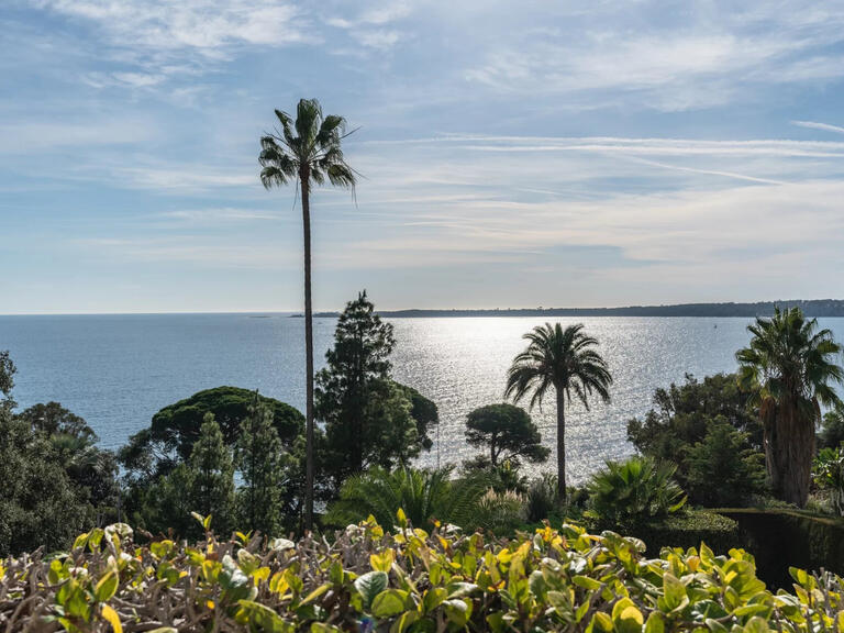 Appartement Cannes - 5 chambres - 490m²