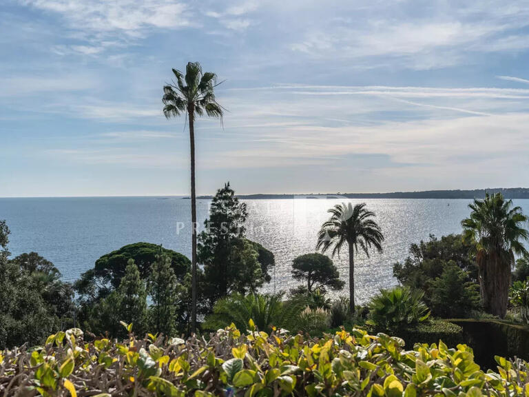 Appartement Cannes - 5 chambres - 490m²