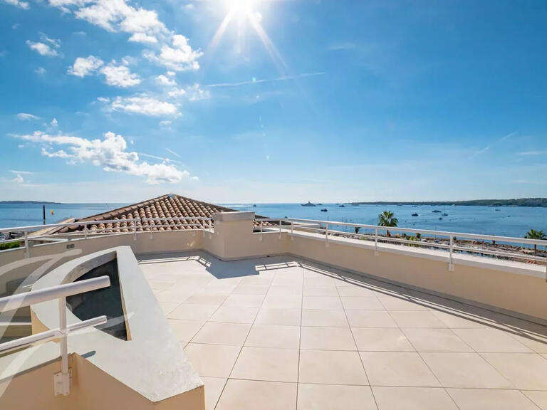 Appartement Cannes - 5 chambres - 518m²