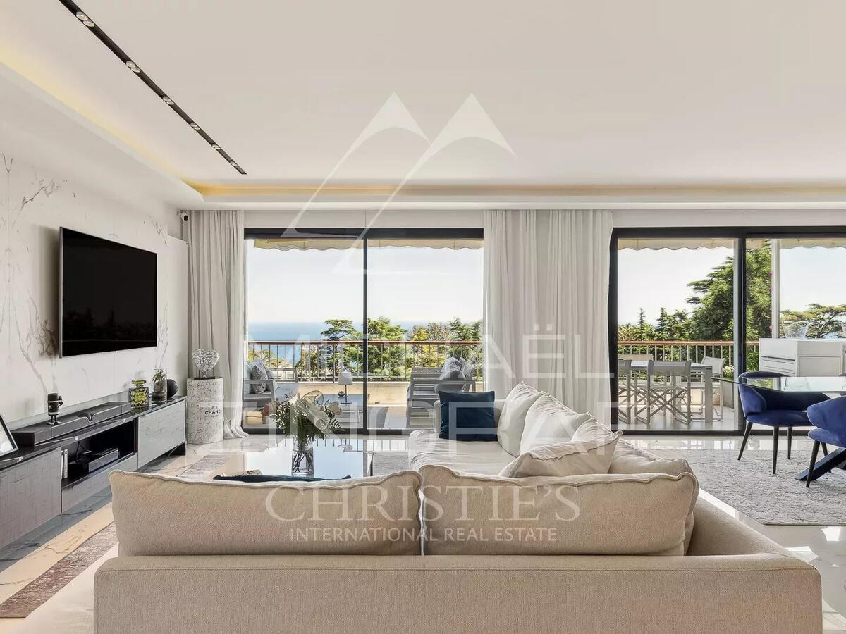 Apartment Cannes