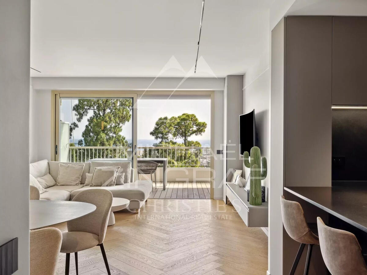 Apartment Cannes