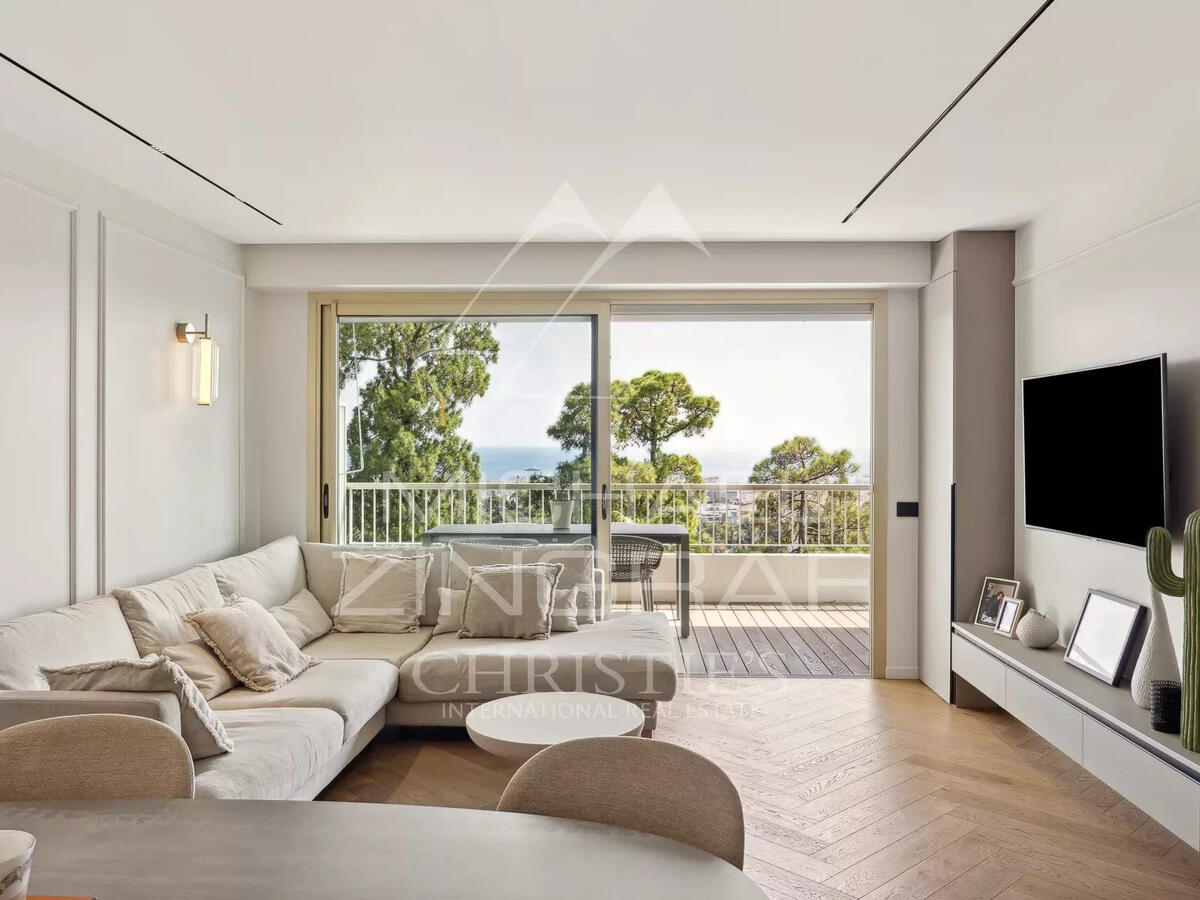 Apartment Cannes