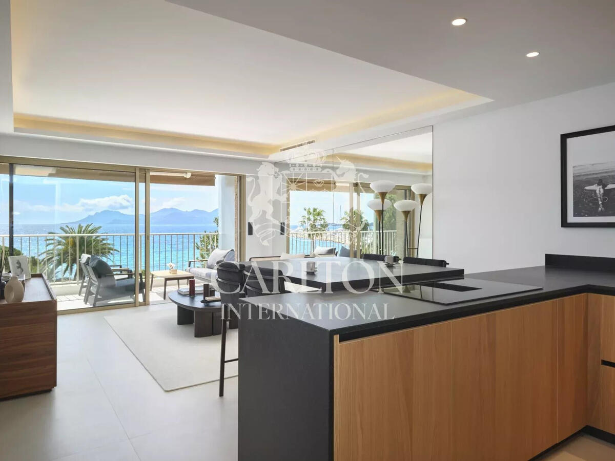 Apartment Cannes