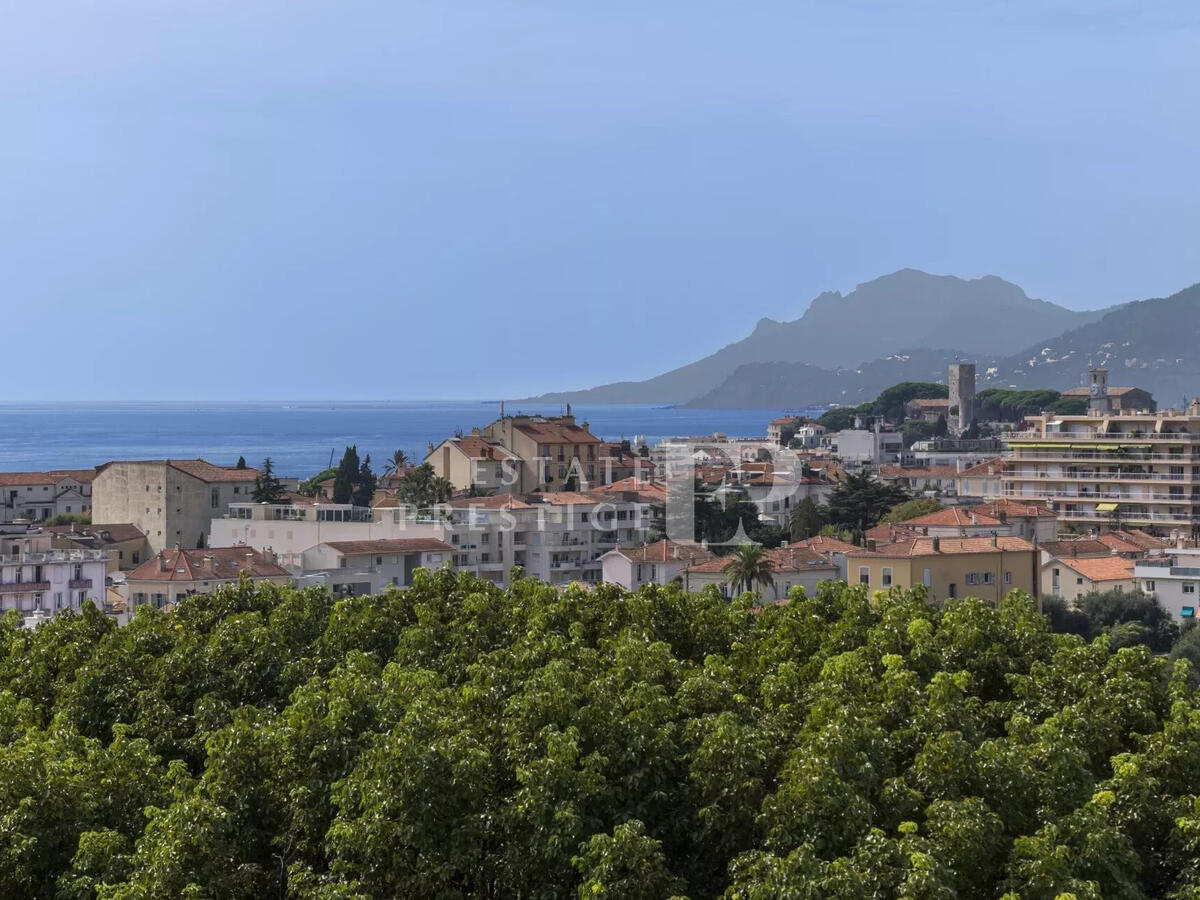 Appartement Cannes