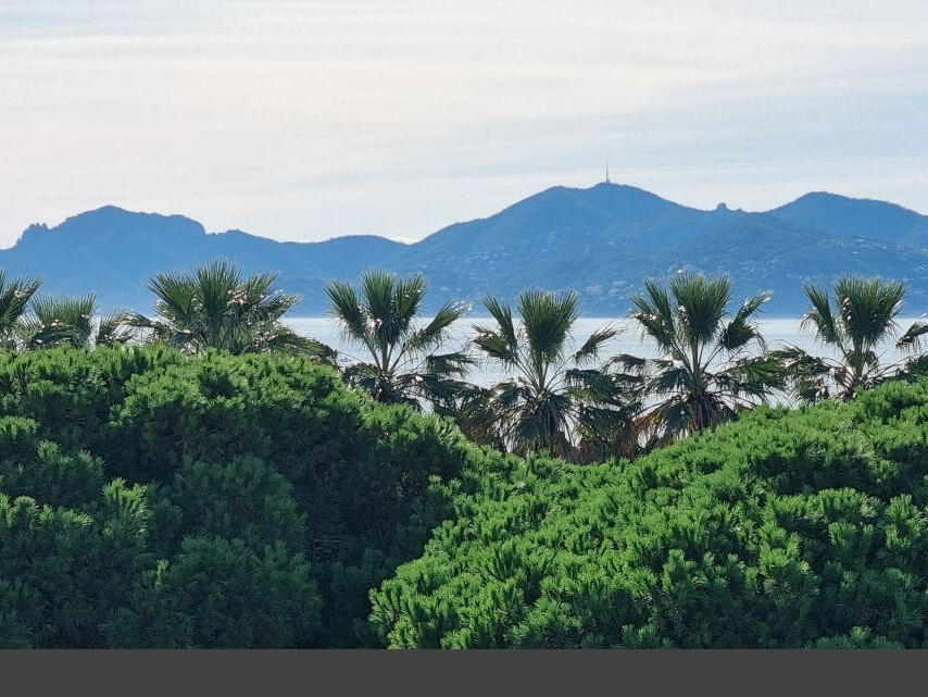 Appartement Cannes