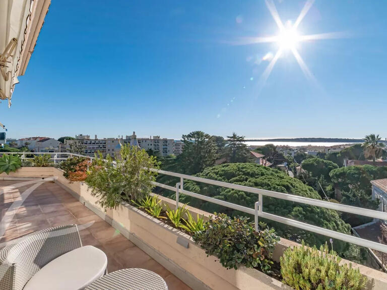 Appartement Cannes - 3 chambres - 213m²