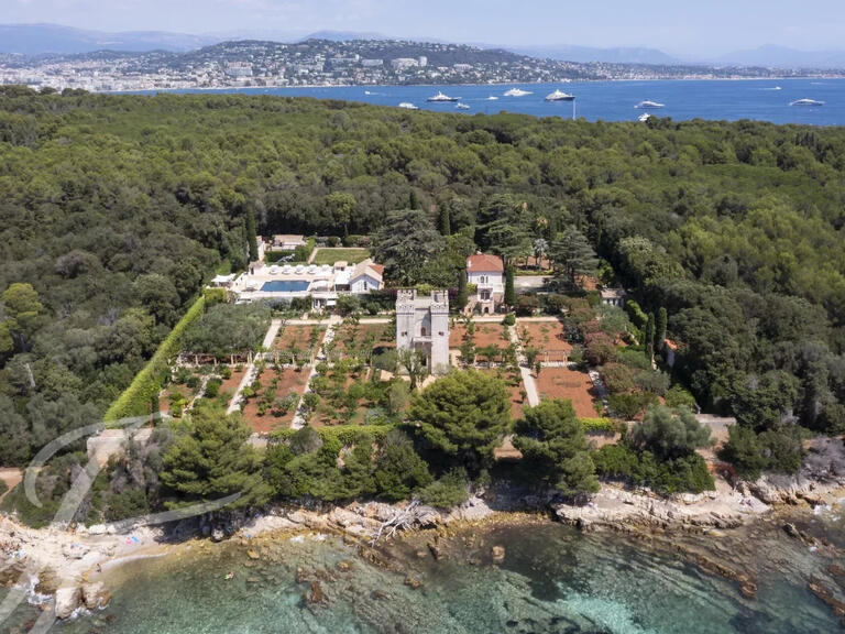 Propriété avec Vue mer Cannes - 12 chambres