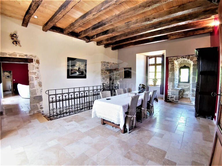 Castle Capdenac - 7 bedrooms - 450m²