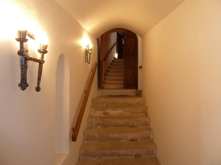 Castle Carcassonne - 9 bedrooms - 565m²