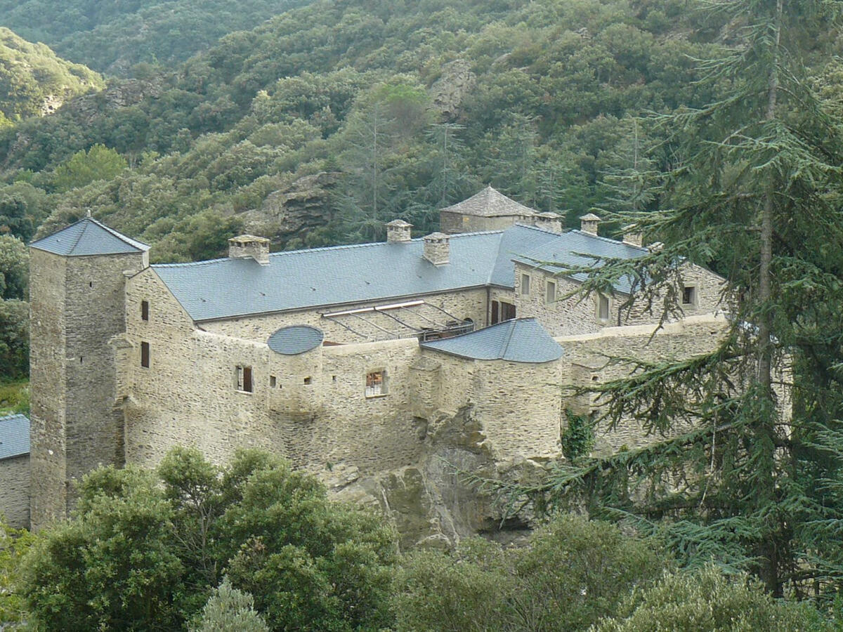 Castle Carcassonne