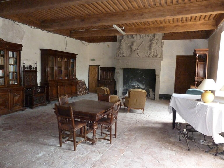 Château Carcassonne - 9 chambres - 565m²