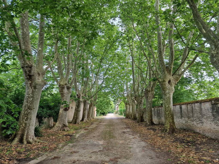 Vente Château Carcassonne - 12 chambres