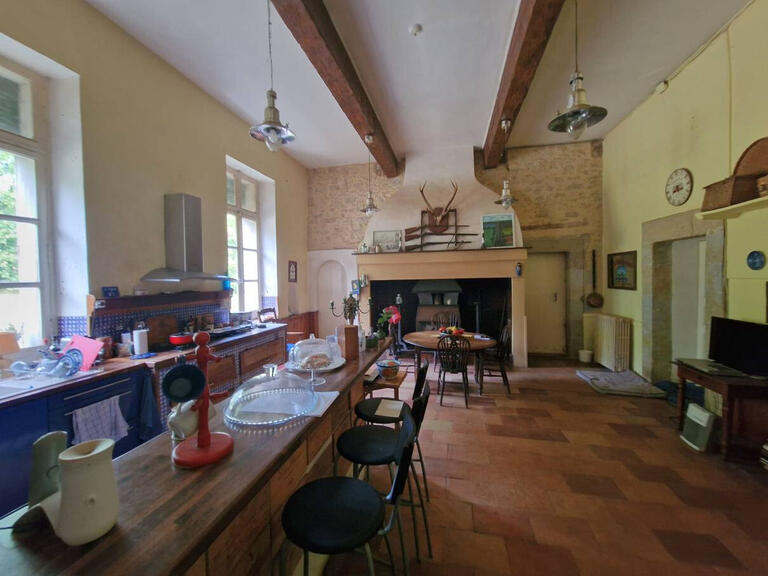 Castle Carcassonne - 12 bedrooms - 840m²