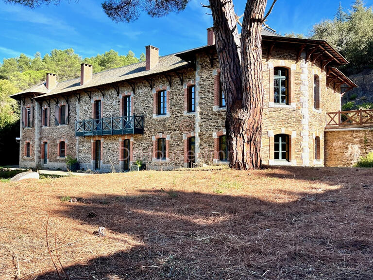 Château Carcassonne - 5 chambres - 700m²