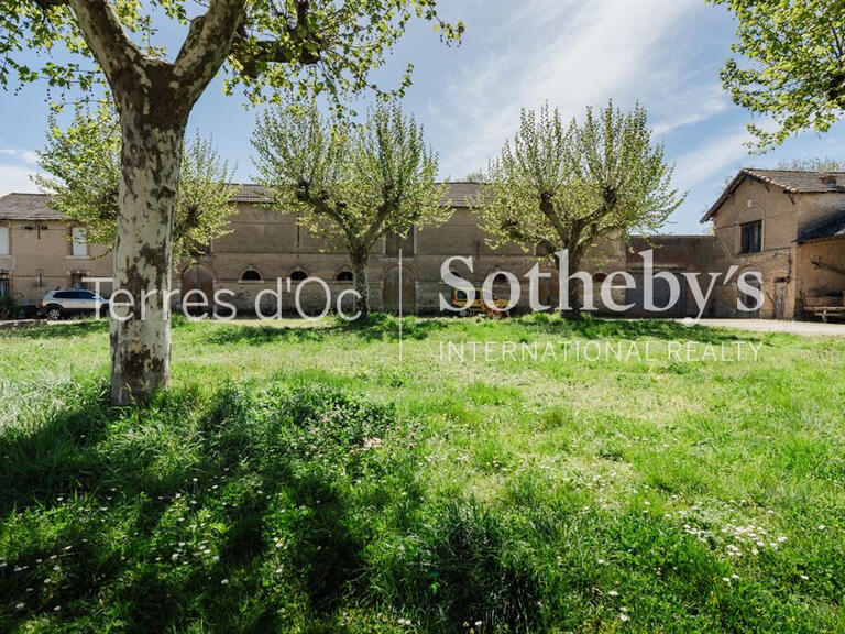 Vineyard Carcassonne - 2000m²