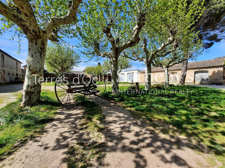 Domaine viticole Carcassonne - 2000m²