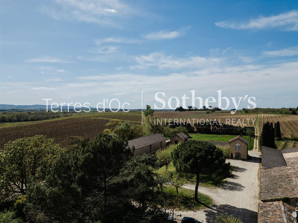 Vineyard Carcassonne