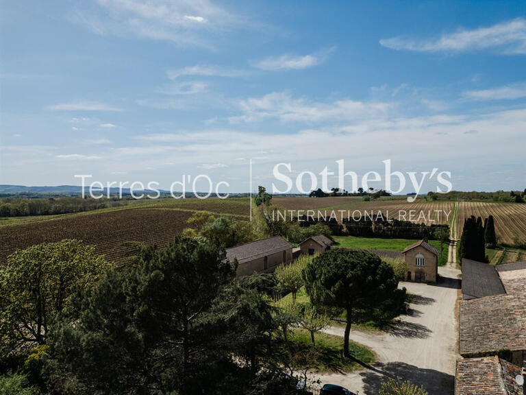 Vineyard Carcassonne - 2000m²