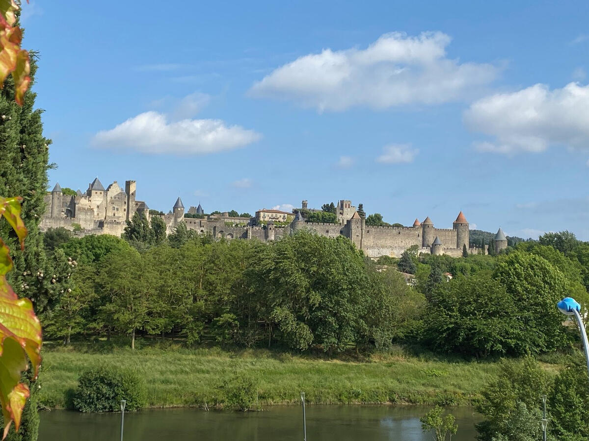 House Carcassonne