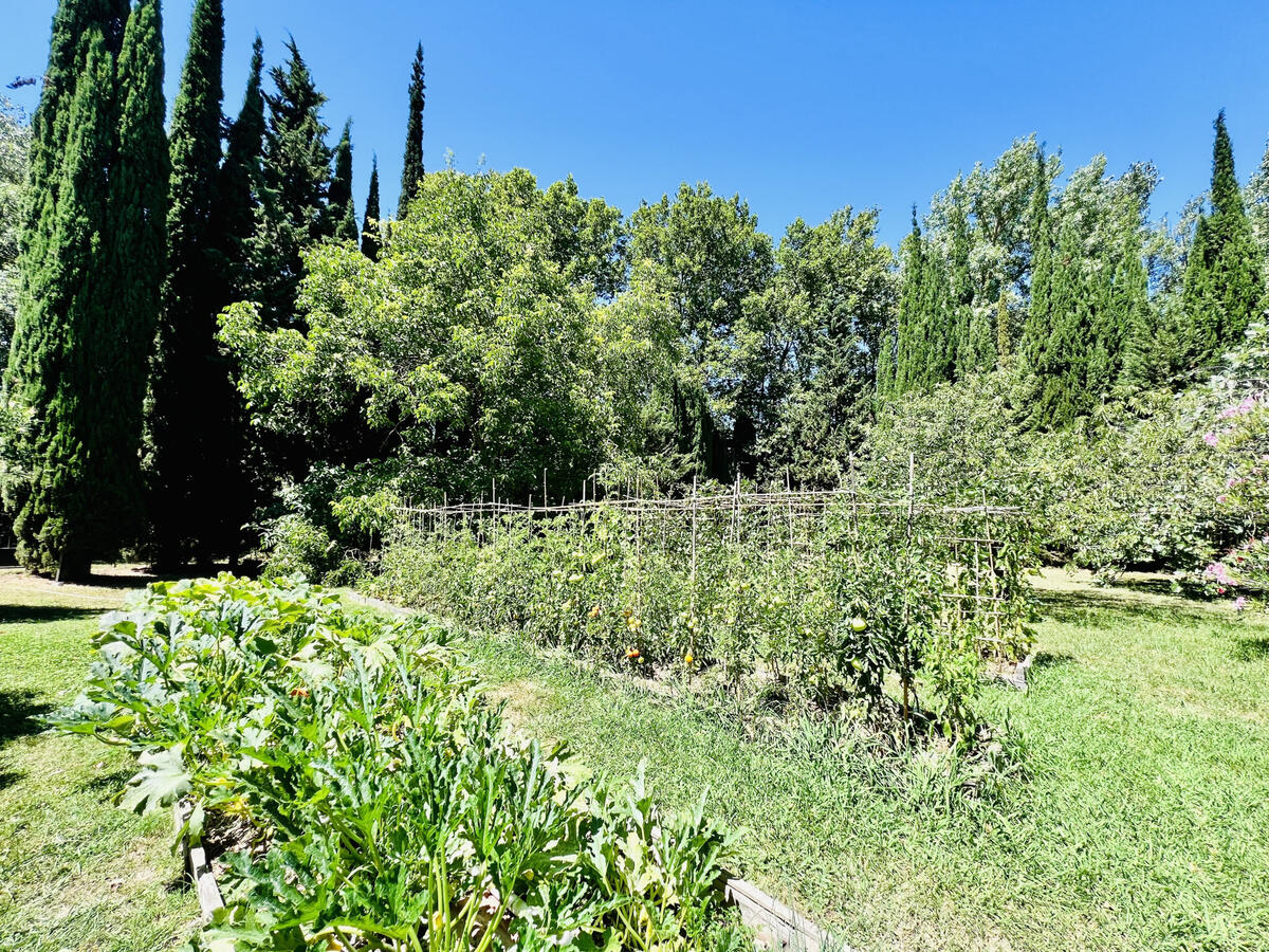 Maison Carcassonne