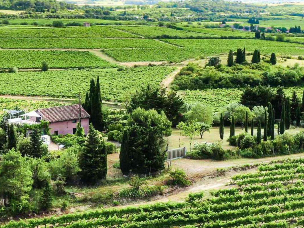 Propriété Carcassonne