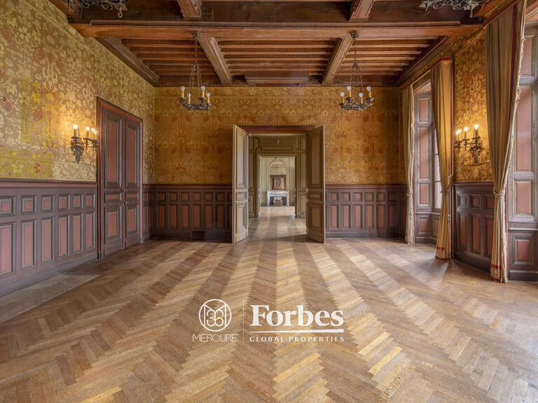 Château Carentoir - 27 chambres - 2800m²