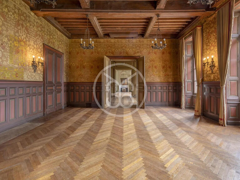 Château Carentoir - 27 chambres - 2800m²