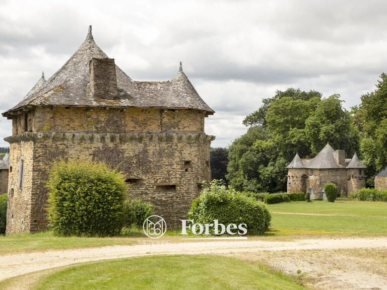 Château Carentoir - 27 chambres - 2800m²