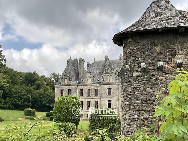 Château Carentoir - 27 chambres - 2800m²