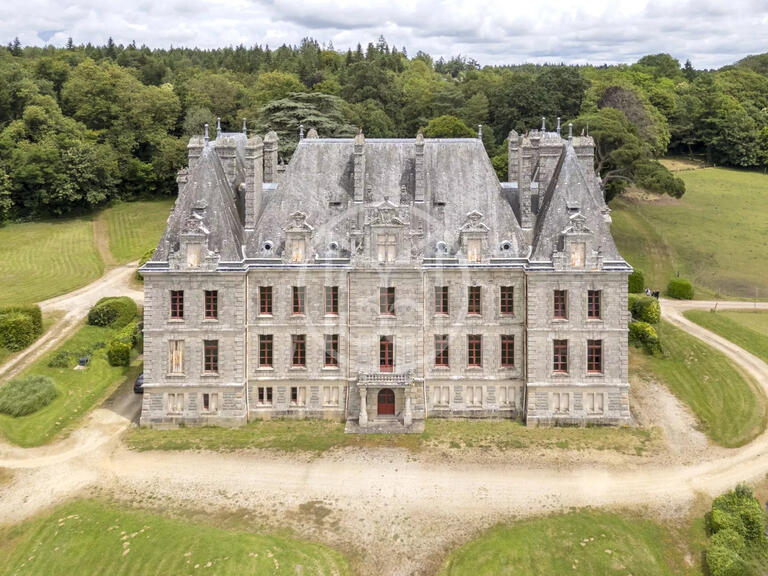 Château Carentoir - 27 chambres - 2800m²