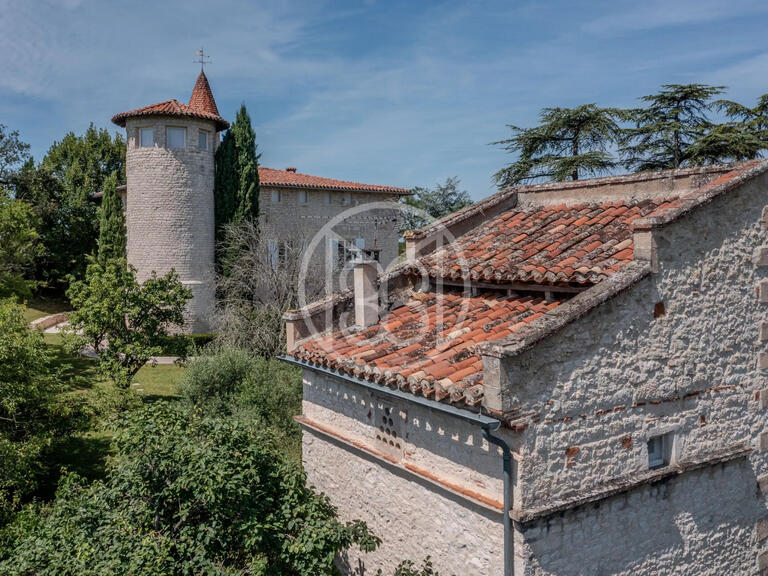 Propriété Carlus - 6 chambres - 380m²