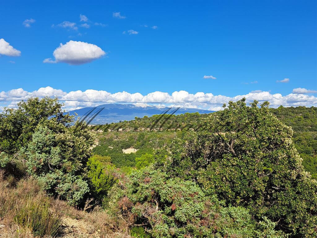 Propriété Carpentras