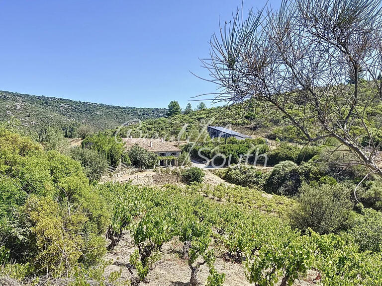 Maison Cascastel-des-Corbières - 5 chambres - 317m²