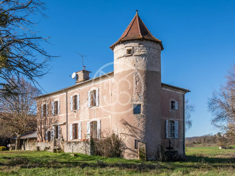 Propriété Castelnau-de-Montmiral - 8 chambres - 1000m²