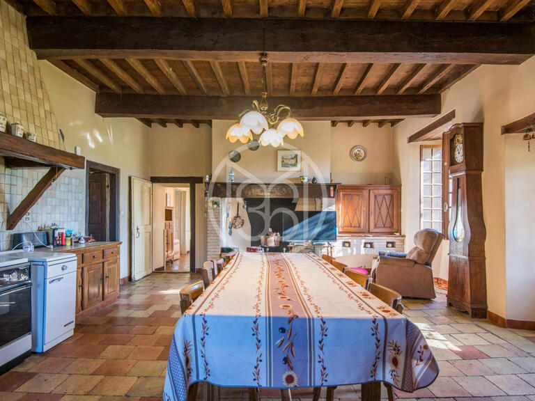 Property Castelnau-de-Montmiral - 8 bedrooms - 1000m²