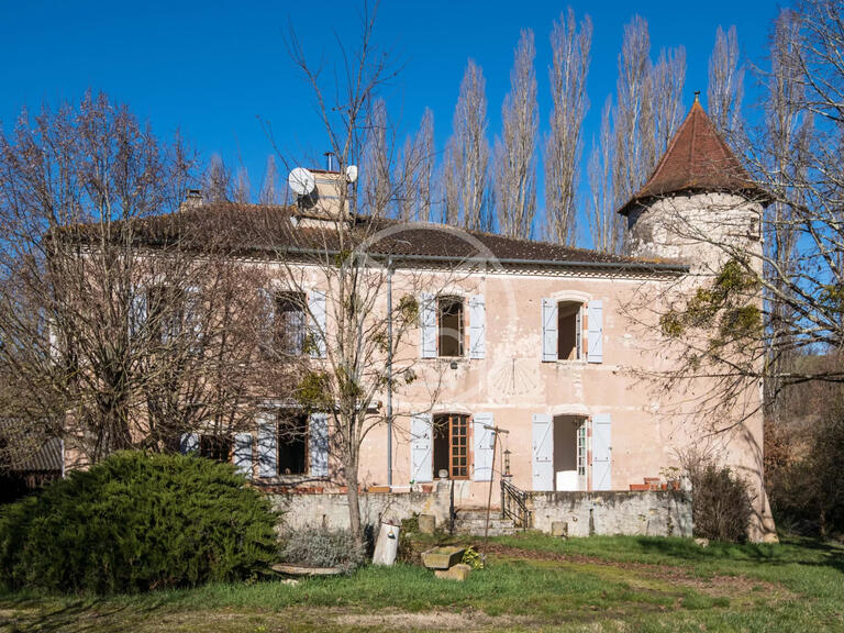 Propriété Castelnau-de-Montmiral - 8 chambres - 1000m²