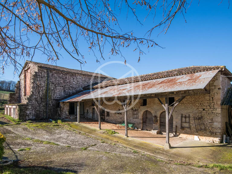 Property Castelnau-de-Montmiral - 8 bedrooms - 1000m²